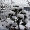 恵那峡雪景色