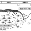 口内炎の治療　【よくある皮ふ疾患】