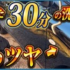 冬ならながら洗車の簡単ツヤ出し洗車！【下回り洗浄 脱脂洗車 鉄粉除去 ツヤ出しコーティング】