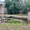 がにやら池（東京都町田）