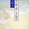「戯れに母を背負いて（石川啄木）」から想起された母と私の記憶