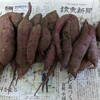 大学ｻｰｸﾙ活動2024/9/19の記録