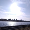 3月1日…晴れ