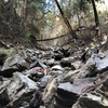 ジブリの山へ行こう　-御岳山登山記録２