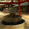 桜花賞からの長田神社参拝  ②