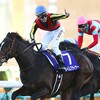 2018年の牡馬クラシック路線はダノンプレミアム、タイムフライヤー、ワグネリアンなどの素質馬多数でワクワクしませんか？