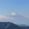 大山ネクタイ尾根登山！雷ノ峰尾根・梅ノ木尾根・エボシ山・渋田山縦走！