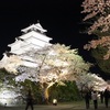 会津若松城の夜桜　2014