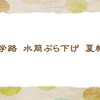夏の通学路【三夏の俳句】