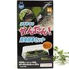 「注射器や虫ピンは使いません！」はじめてのかんたん昆虫標本セット