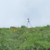 ◆'18/07/15     鳥海山・笙ヶ岳…ニッコウキスゲに会いに③