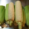 白いとうもろこし。