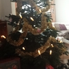 今年のクリスマスの過ごし方