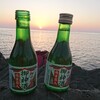 北浦セキバエ、初釣り