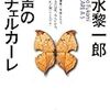 深水 黎一郎『五声のリチェルカーレ』