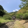 蝶探し
