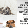 年齢との闘い着々