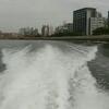 今日は宮島