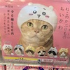 【ガチャ活】キタンクラブのねこのかぶりもの写真撮影 ちいかわモチーフ
