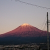 残念な1日