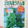 真冬に「ホウレンソウ」を水耕栽培。数少ない冬蒔きができる野菜です