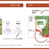 パーキンソン病を科学する