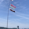 端午の節句　立夏　夏の始まりをなぎさんぽ。