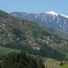 木曽駒ケ岳の連山「将棊頭山」