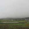 秦野　転　天気　　最高気温19度　曇り☁