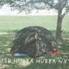 【MSR Hubba Hubba NX2レビュー】登山・キャンプ・1人用にも最適？購入理由と設営のしやすさを徹底解説