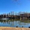 別所沼公園　2025・1月