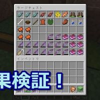 マインクラフト 入れ食い効果検証 となしどっちが強い 304 オロオロktのマイクラブログ