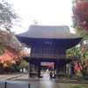 埼玉紅葉ランキング１位（全国６位）の平林寺にリベンジしました！