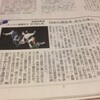 朝日夕刊に　