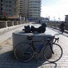 江ノ島　+　BMC Teammachine SLR01