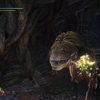 【MHW】トロフィーコンプへの道　～最大最小金冠編～　【モンハンワールド】