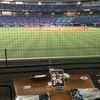 やれおっさんと野球観戦、やれおっさんと・・・