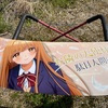 痛車を2週間コーティングをせずに放置！シミがとんでもなくついています。