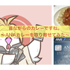 ANAカレー食った〜デカイよ！！〜