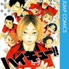 ハイキュー!! 4 