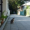 ちょっと江の島と横須賀にお詣りへ　～江の島～