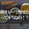 朝カレーダイエットで痩せた！？【ゲンキの時間でわかるスパイスカレーの効果】