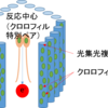 身近な存在としての量子力学（６）：光合成（続き）