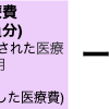 e-Taxでの医療控除の入力方法(令和6年分)