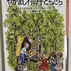 「やかまし村の子どもたち」児童文学／映画…スウェーデンの子どもたちの生き生きとした日常　　