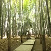 報国寺（鎌倉）〜広がる竹林から流れる風の音