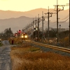 秩父鉄道新郷駅付近の夕景（埼玉県羽生市）