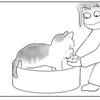 素手キャッチ！