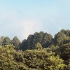 今朝の景色