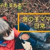 【男子あるある】男の子ママの日常をご覧あれ ※No! Davidネタバレあり